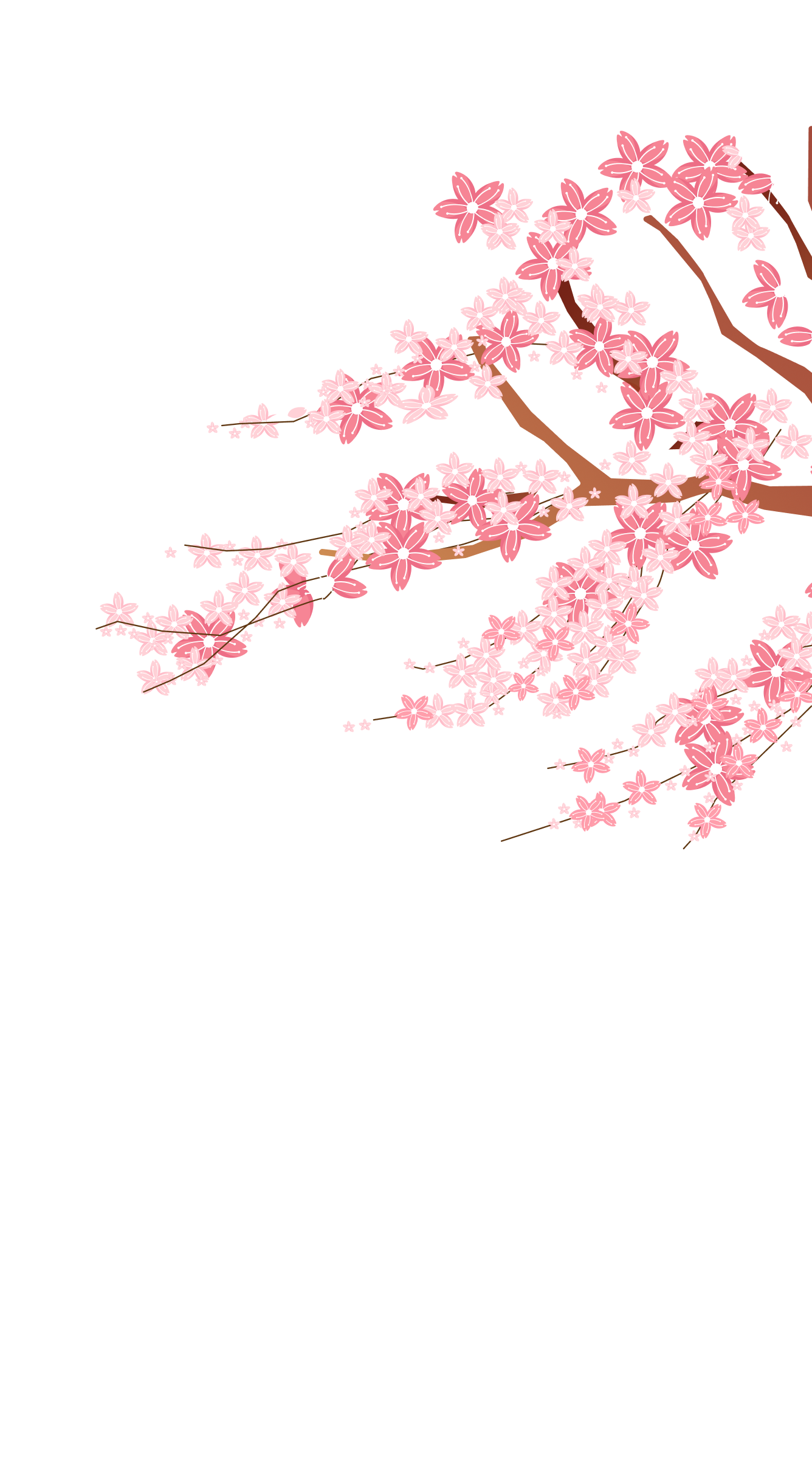 Cherry Blossom Decoration