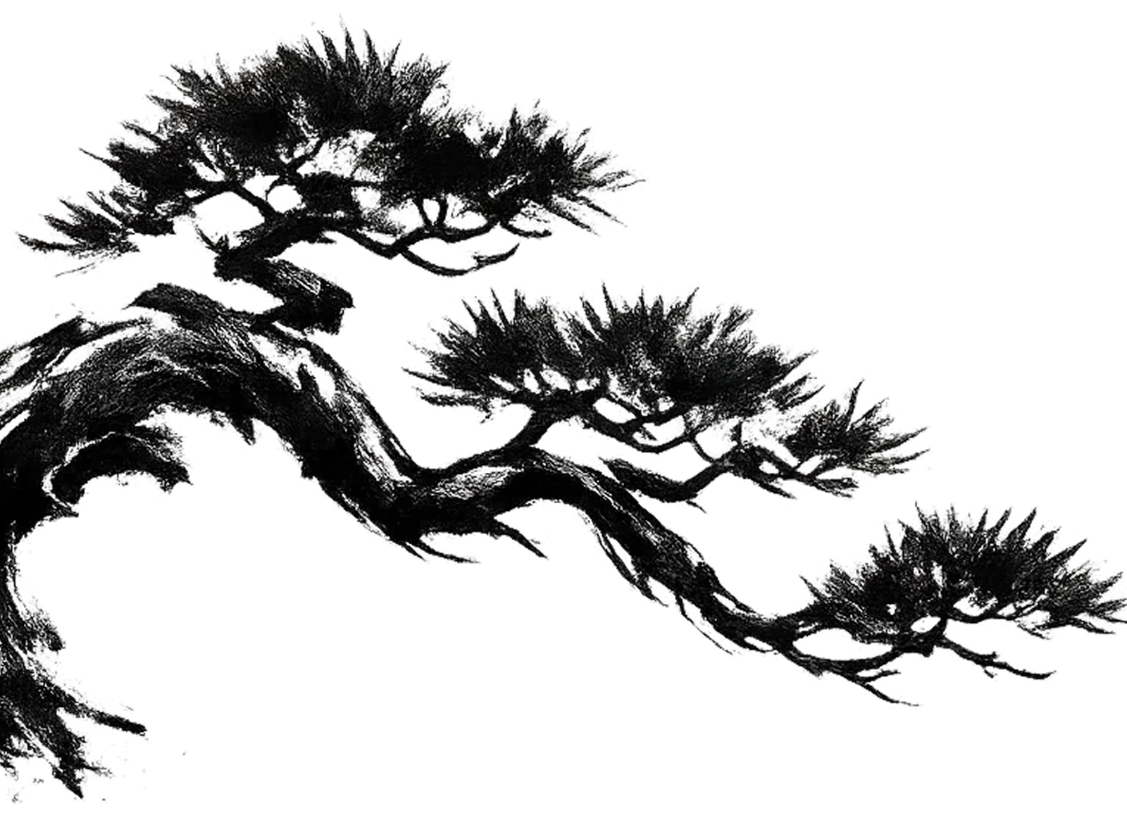 Bonsai Tree