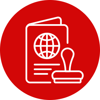 Visa Processing Icon
