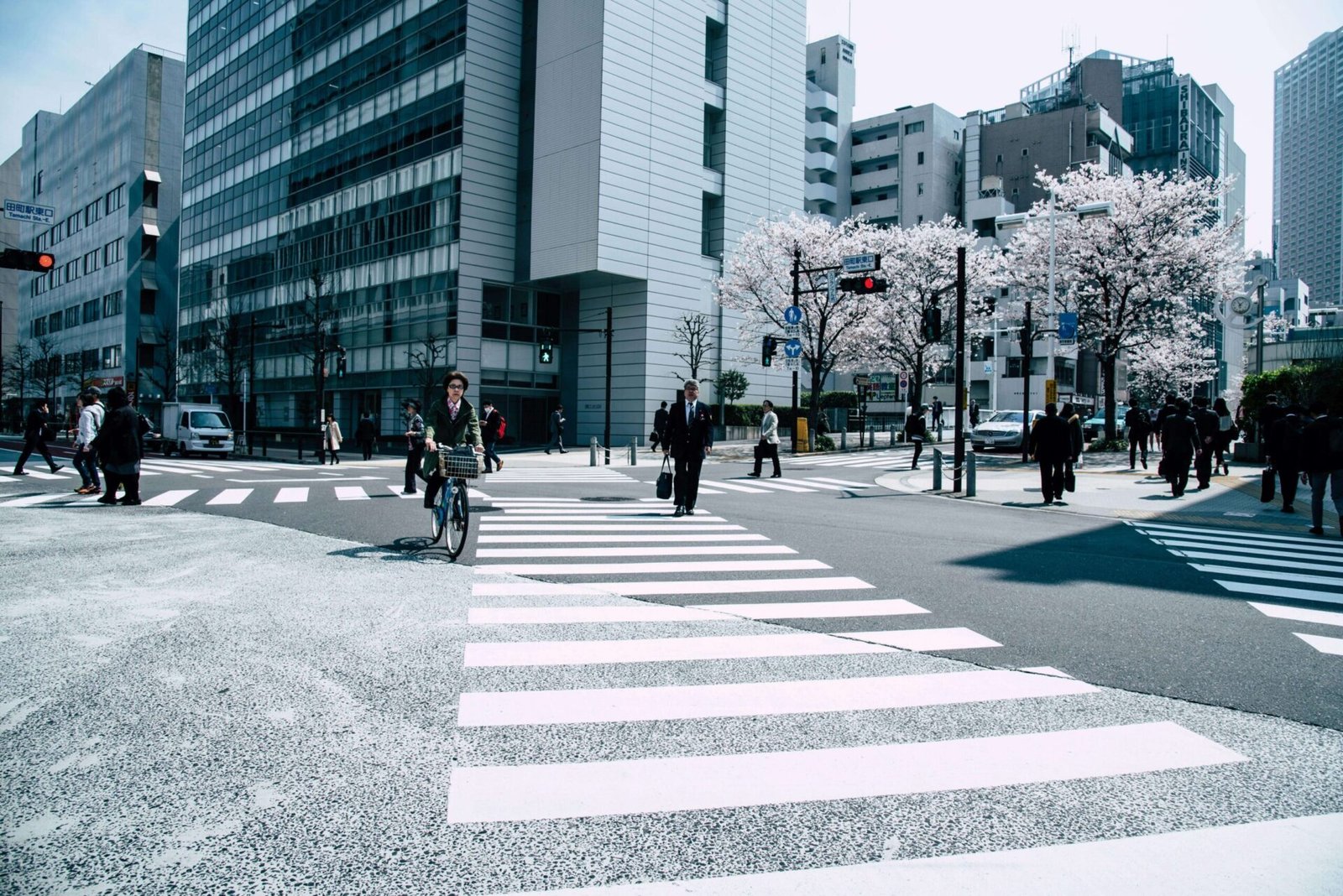 Student Visa Support: A Step-by-Step Guide to Getting Your Japan Student Visa from Nepal