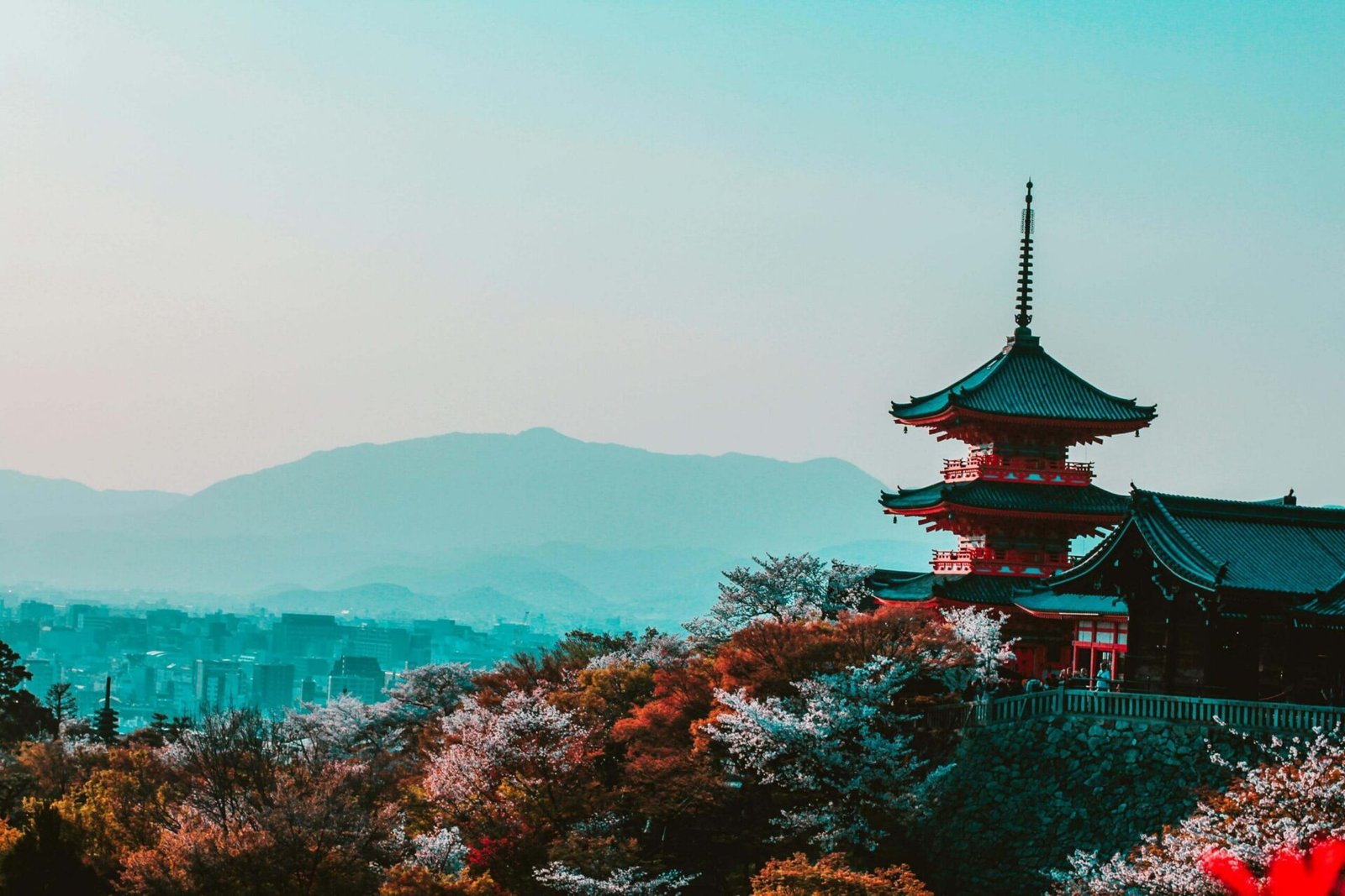 JLPT Preparation Classes: Your Complete Guide to Passing the Japanese Language Proficiency Test